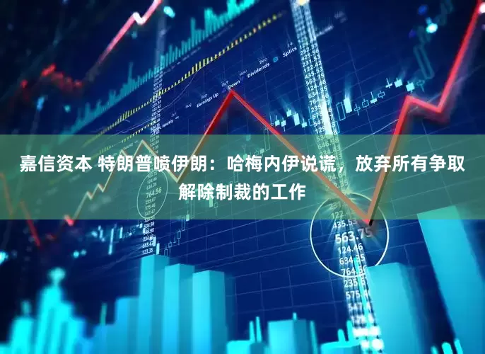 嘉信资本 特朗普喷伊朗：哈梅内伊说谎，放弃所有争取解除制裁的工作