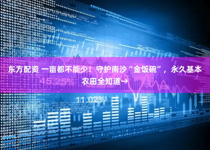 东方配资 一亩都不能少！守护南沙“金饭碗”，永久基本农田全知道→