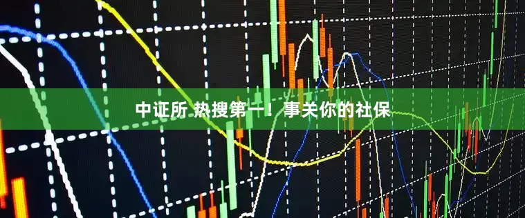 中证所 热搜第一！事关你的社保