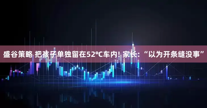盛谷策略 把孩子单独留在52℃车内! 家长: “以为开条缝没事”